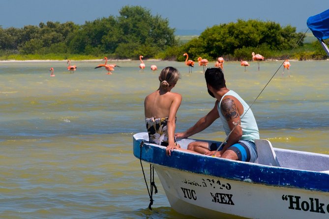 Tour to Las Coloradas Pink Waters and Boat Ride in Rio Lagartos with Lunch. - Price and value: why $125 can be fair, and where extra charges can appear