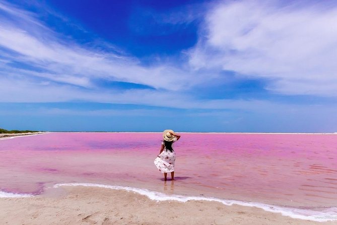Tour to Las Coloradas Pink Waters and Boat Ride in Rio Lagartos with Lunch. - Who this trip suits best