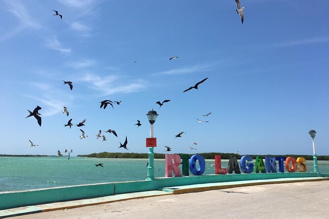 Tour to Las Coloradas Pink Waters and Boat Ride in Rio Lagartos with Lunch. - Should you book this tour?