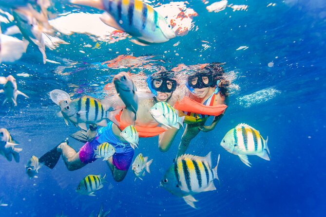 Trip to Isla Mujeres by Catamaran, with snorkeling and drinks - Private Beach Club + Buffet (Including Vegan): The Meal That Makes It Feel Like a Full Day