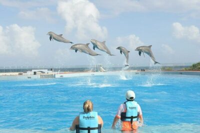 Tulum & Dolphin Connection from Cancun - Pickup, Start Time, and How the 7 Hours Tends to Feel