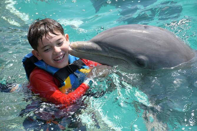 Tulum & Dolphin Connection from Cancun - Dolphin Discovery Tulum–Akumal: What the In-Water 40 Minutes Actually Covers