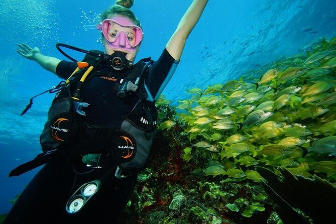 Two Dives and Class for Begginers Divers in Cancun - Manchones Reef: the colorful, living half of the day