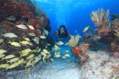 Two Tanks Scuba Diving for Beginners in Cancun - Safety Rules and Medical Limits You Can’t Skip
